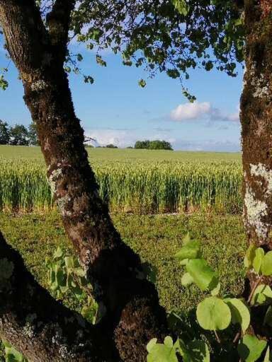 Les Cypres De Crose I Villa Badefols-sur-Dordogne Exteriör bild