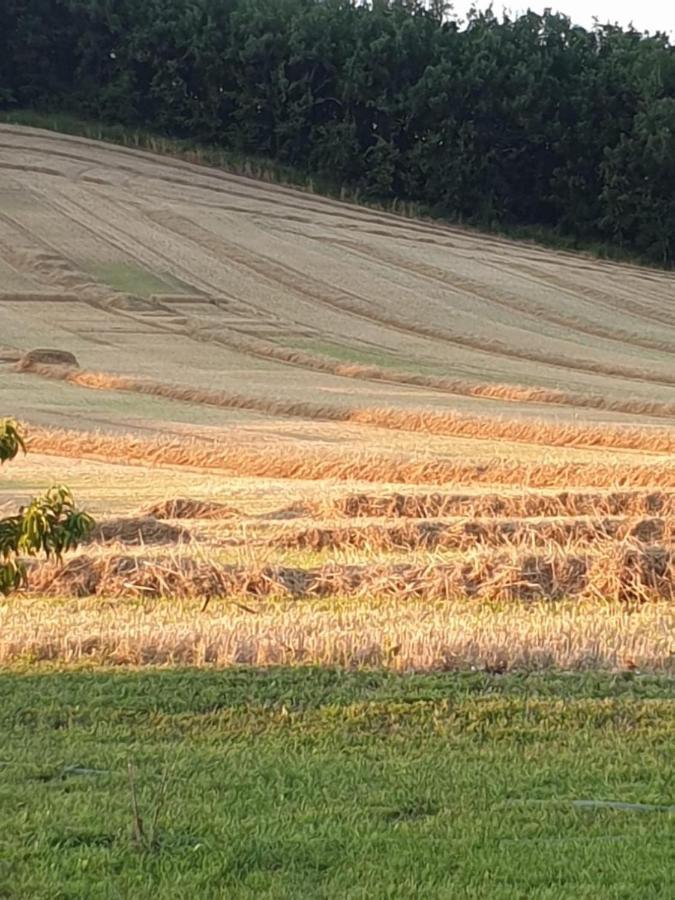 Les Cypres De Crose I Villa Badefols-sur-Dordogne Exteriör bild