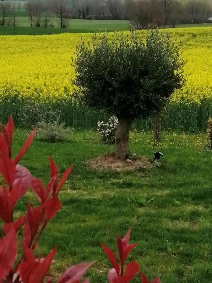 Les Cypres De Crose I Villa Badefols-sur-Dordogne Exteriör bild